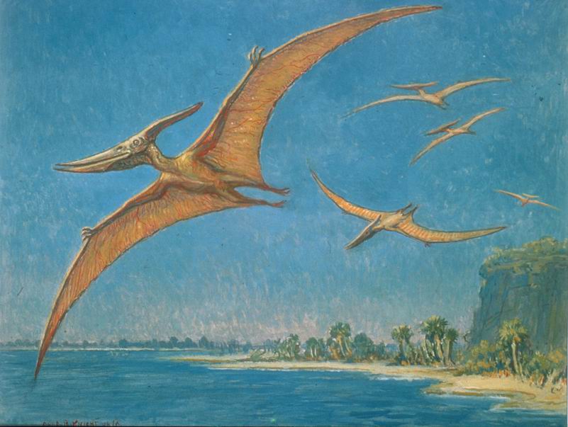 Charles R Knight, Pteranodon, Natural History Museum of Los Angeles County, 
