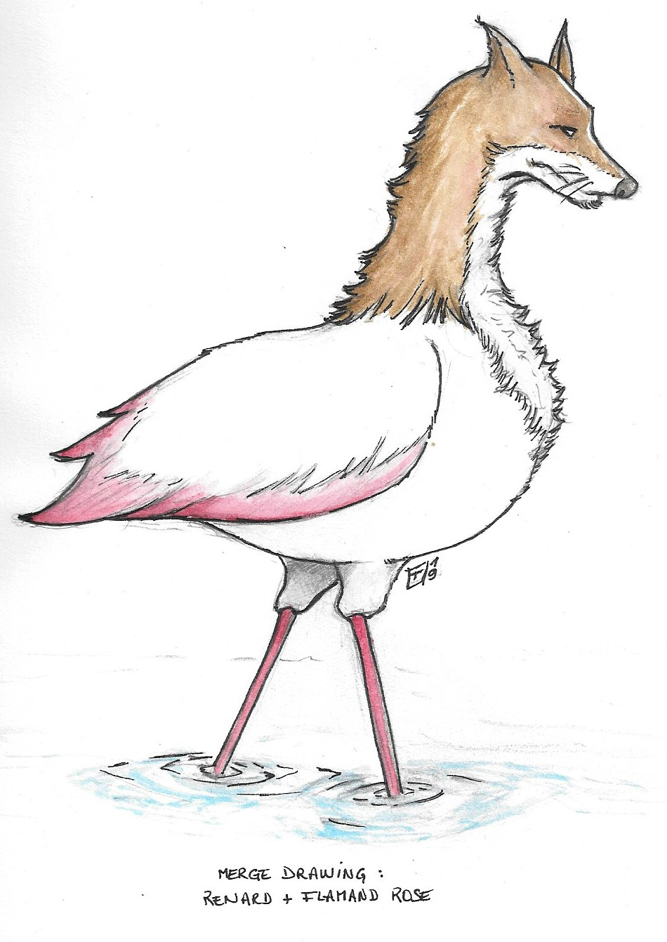 05-renard_flamandrose_final.jpg