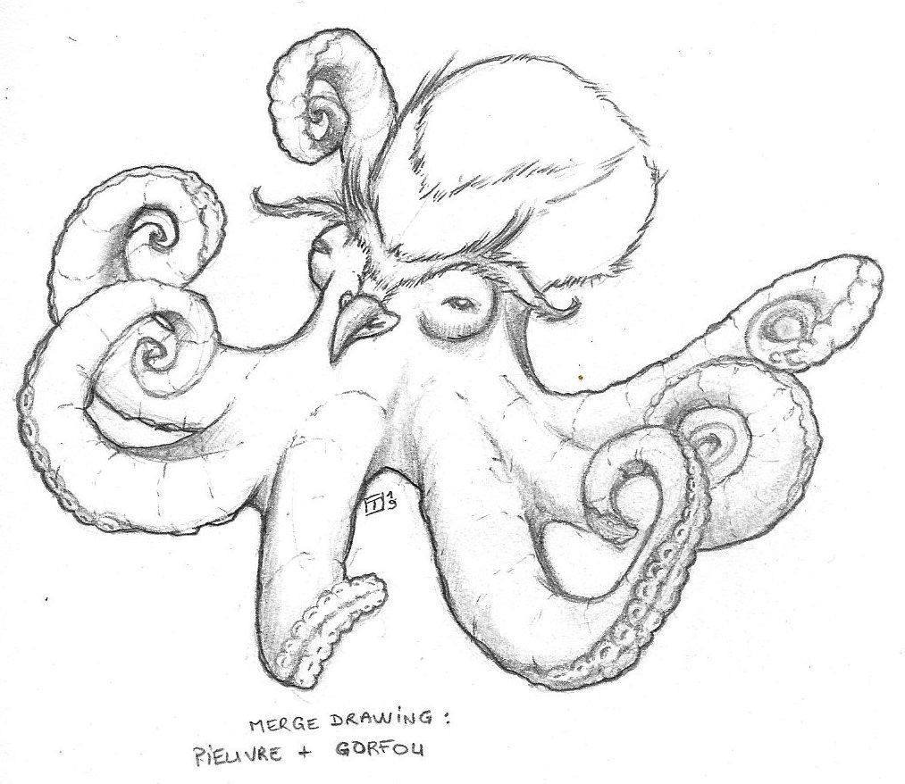 07_pieuvre_gorfou.jpg