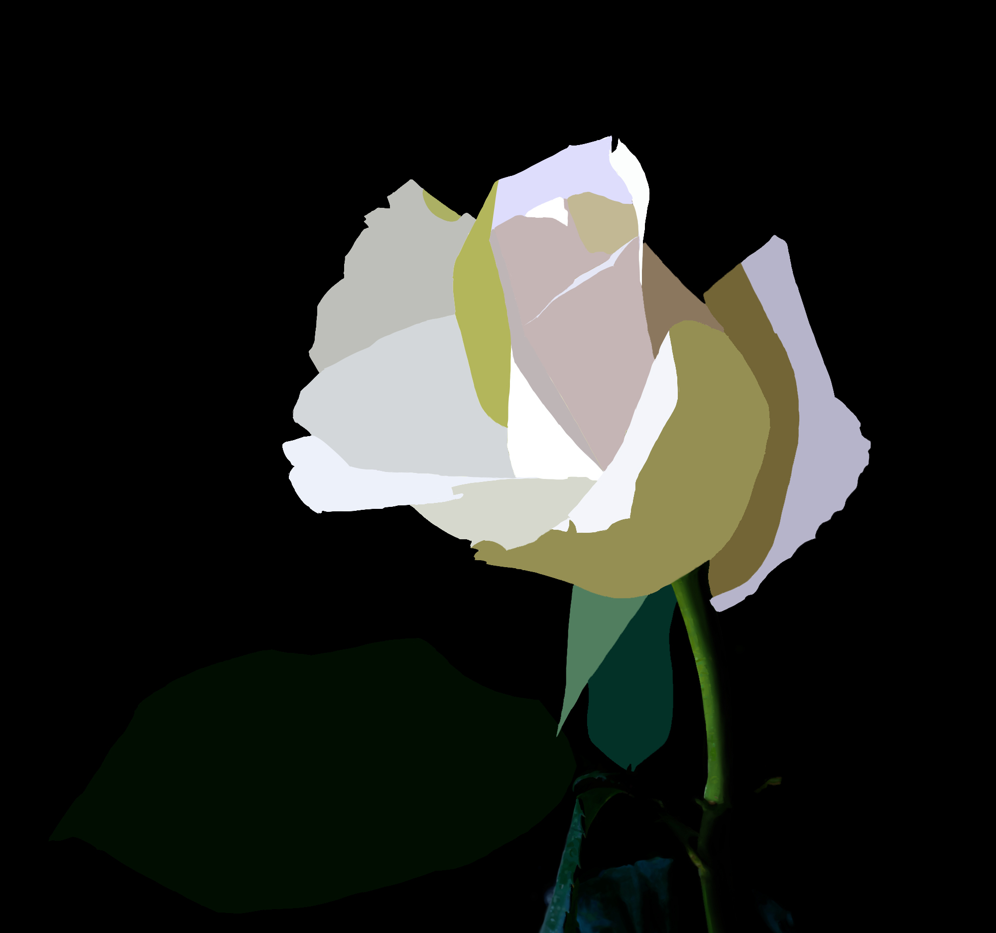 08_06_WIP_rose-1.jpg