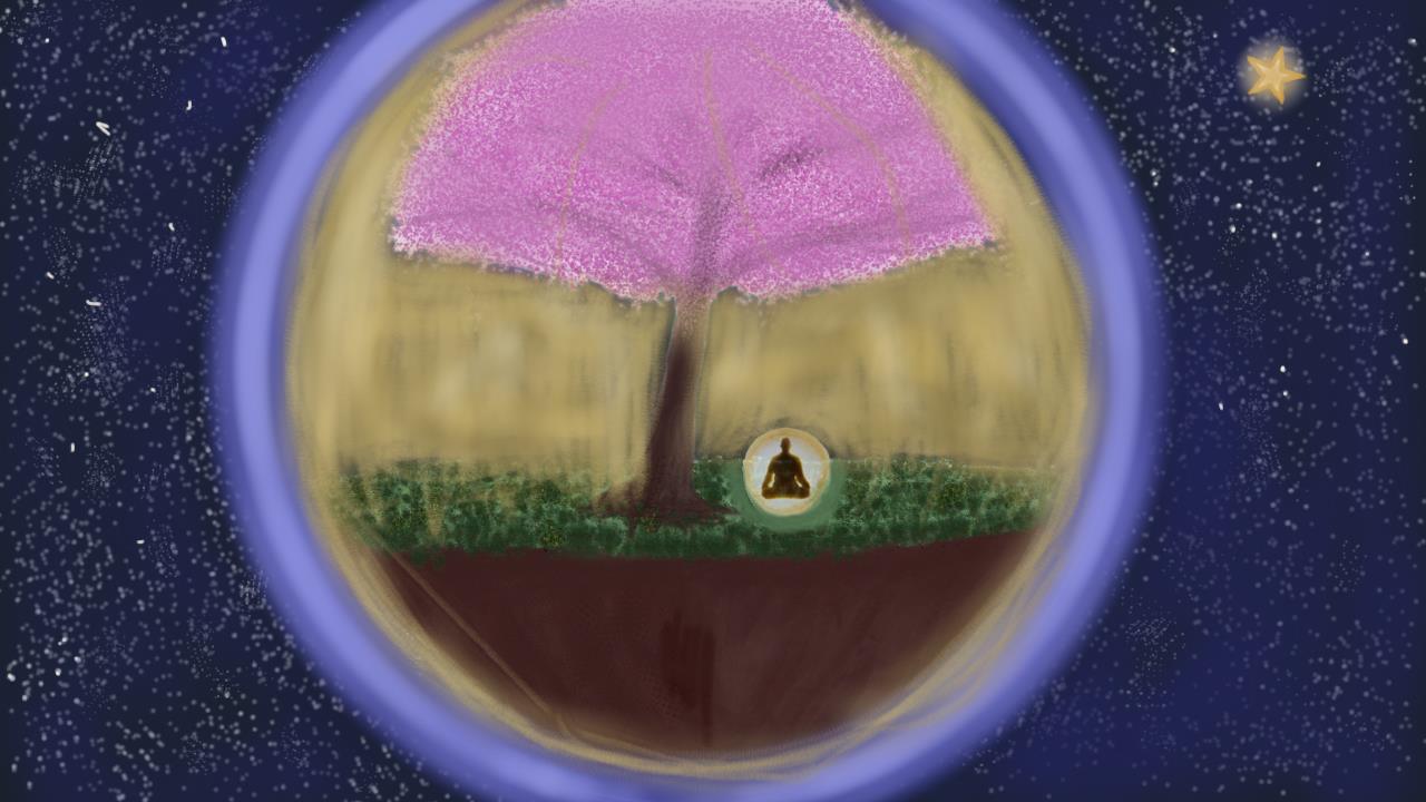 10328057_237009296502057_1903499424_o.jp