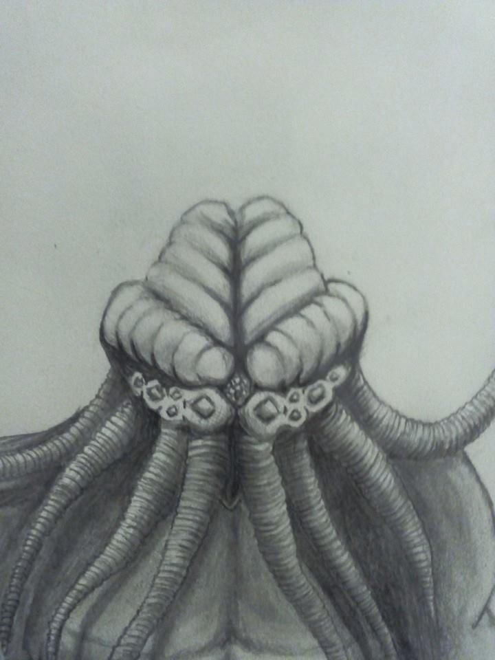 10923383_10153043056546410_5826307507048