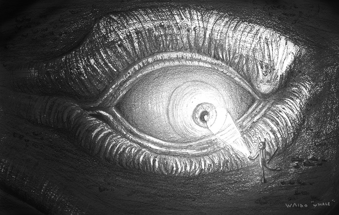 12_whale_.jpg