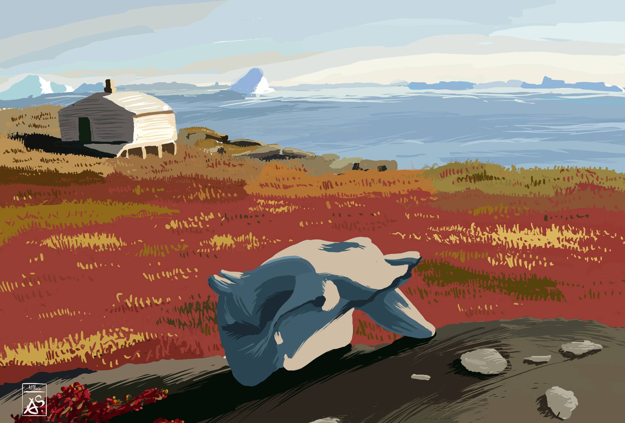 13173552_498591246992557_700836886088034