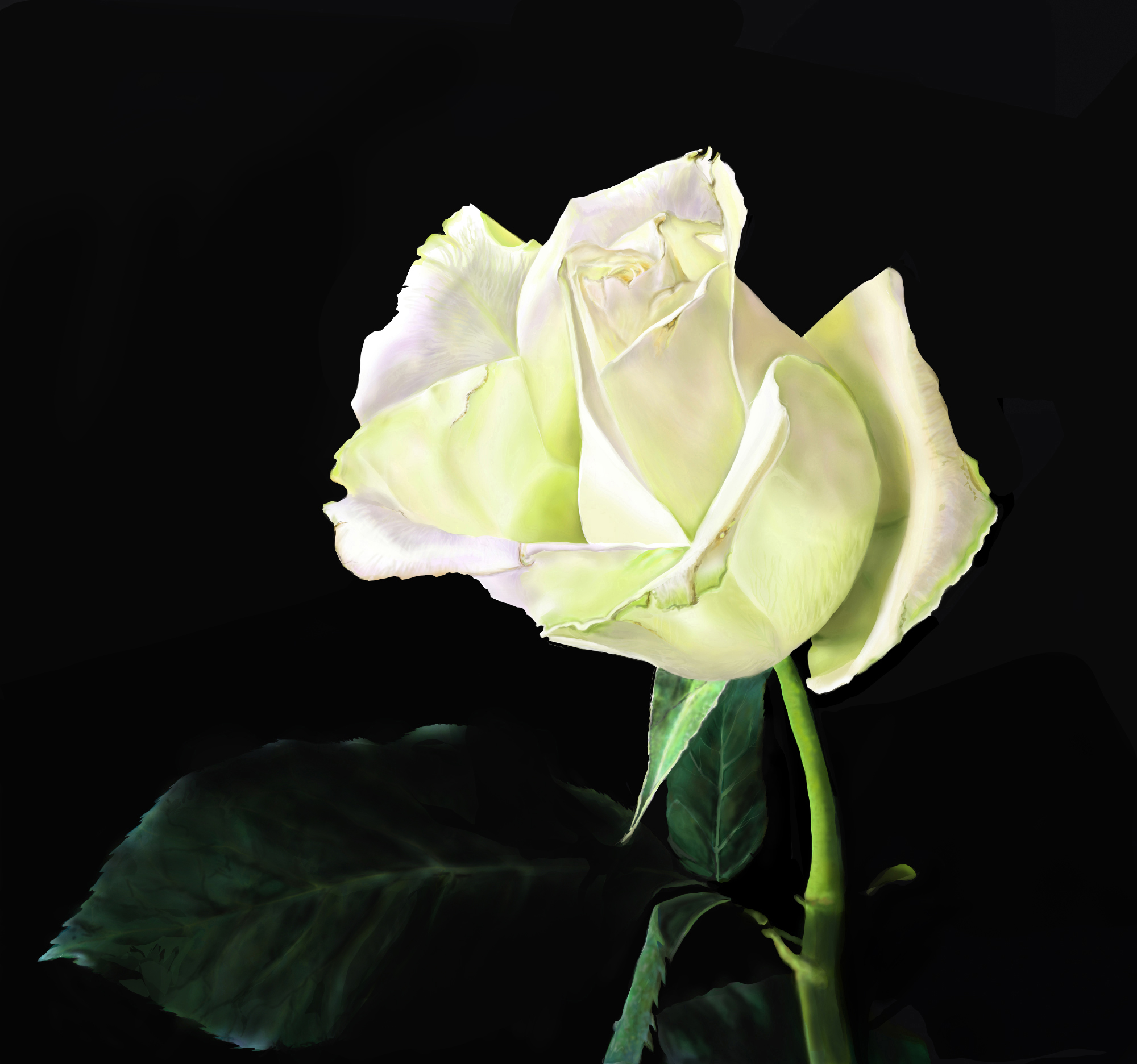 14-06-2017-feuilles-rose-reprises-et-fon