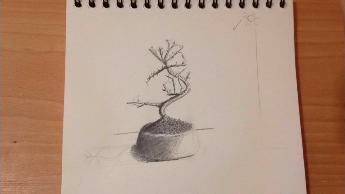 14524430_1290359674349533_45810361811278