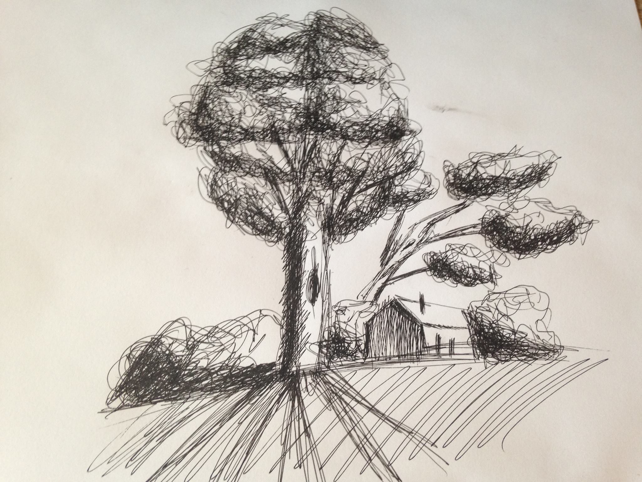 14525220_1283133691738798_25018603907028