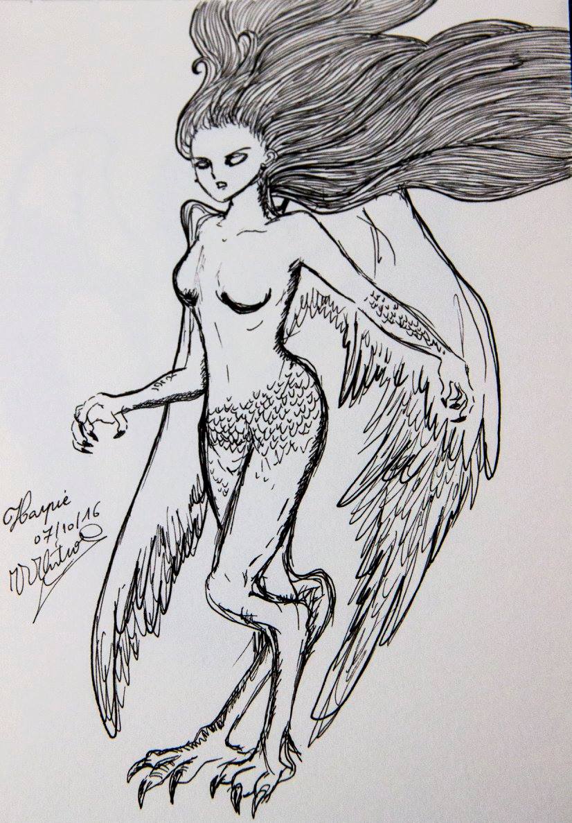 14612582_1115787315135755_60960802463342