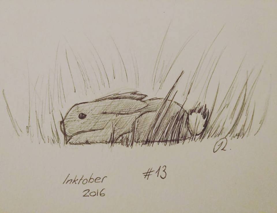 14642177_10209675900351072_6365953670450