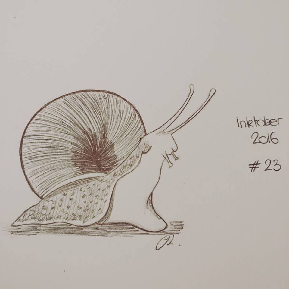 14732231_10209793390928263_1624406244078