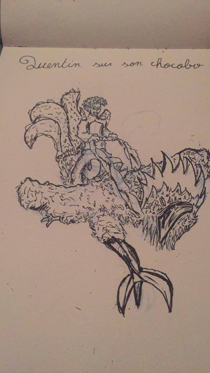 16010367_10208231843660381_1852617250_o.