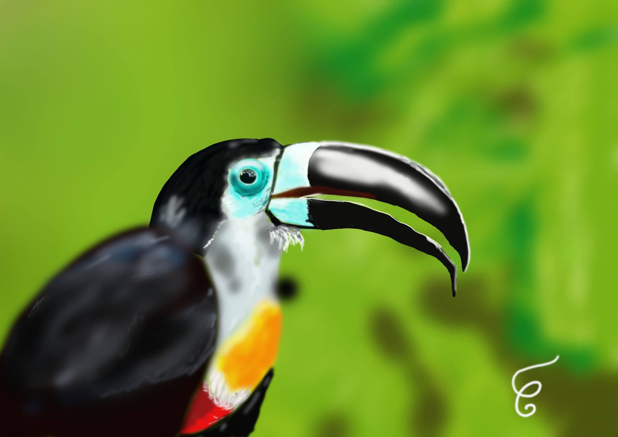 18595326_814838082023566_267708261397355