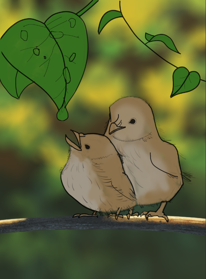 2016-08-27-22_38_36-DPS-Prog-1-1-Exercic