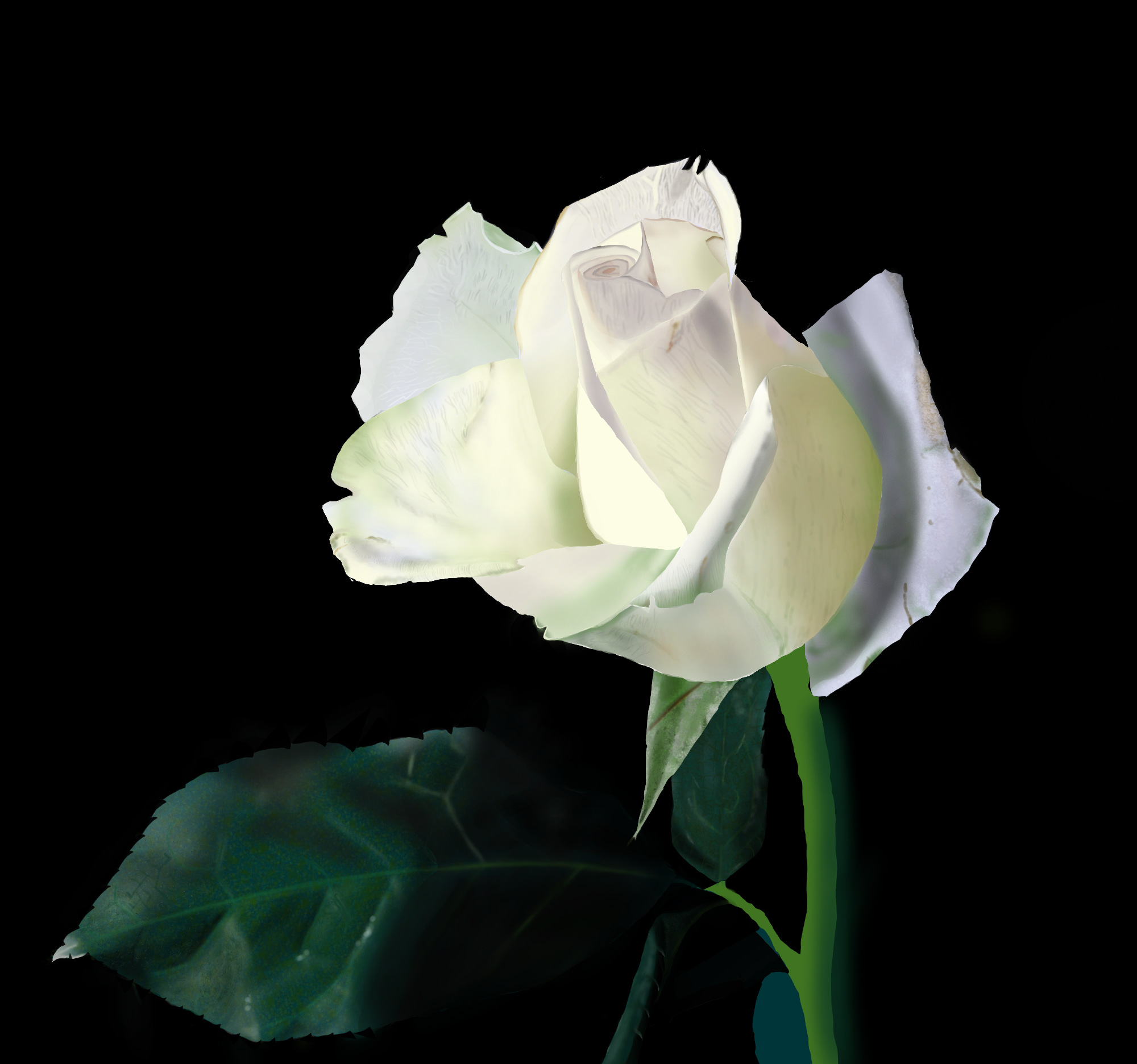 20170205_photo_exercice_lasso2-exo02_02.