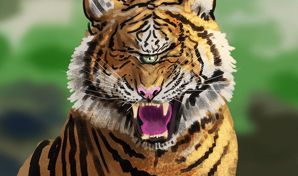 2019-03-29-1-One-eyed-tiger.jpg