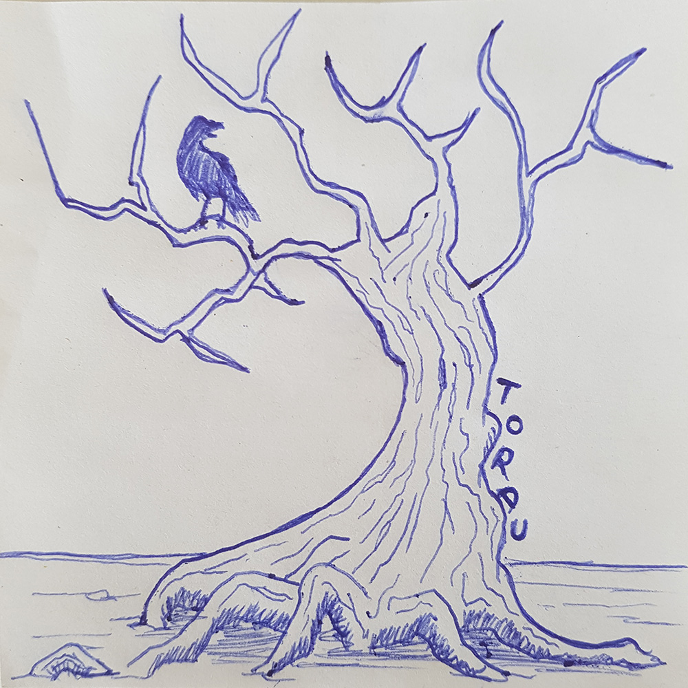 8-Tordu-1.jpg