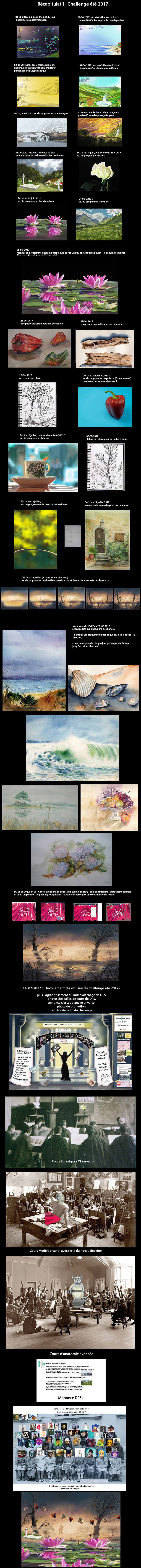 Aelia-final-challenge-%C3%A9t%C3%A9-2017