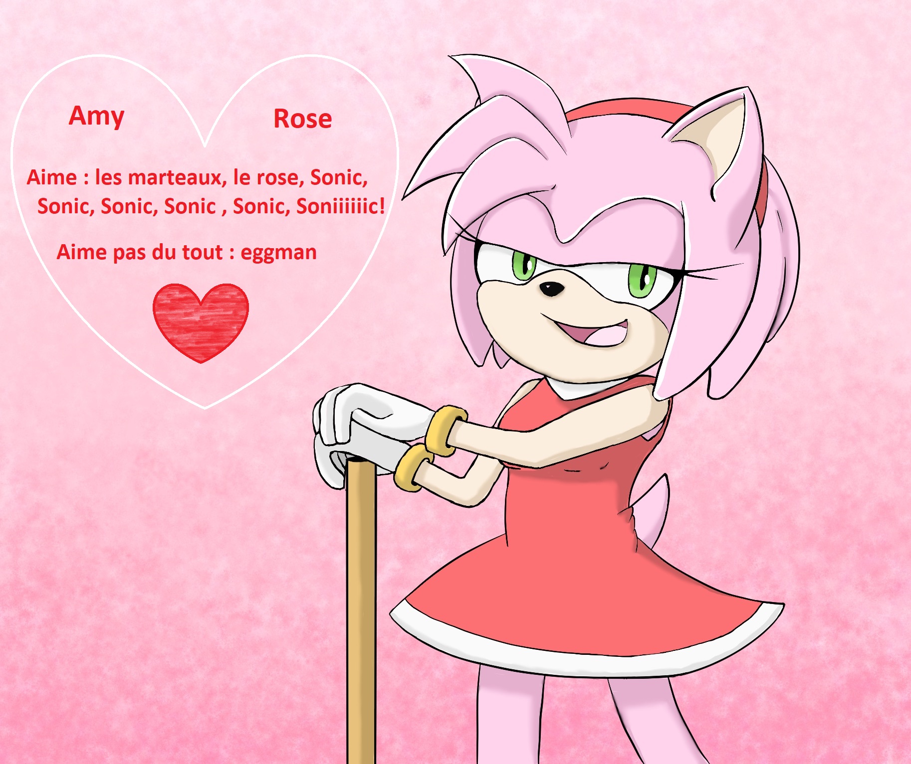 Amy-rose-profil.jpg