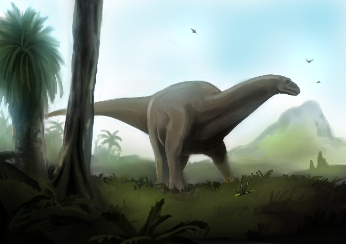 Apatosaurus.jpg