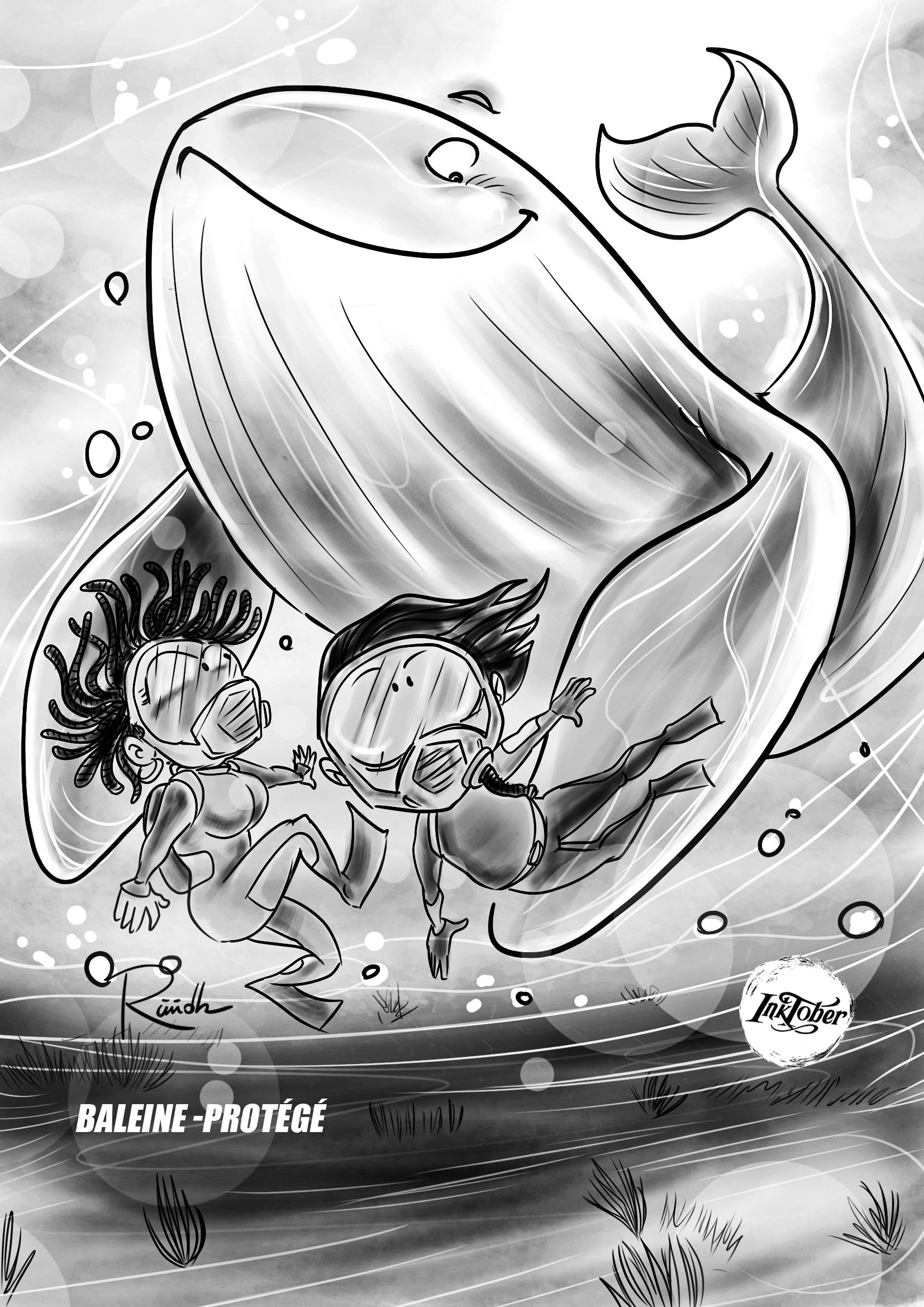 Baleine-2.jpg