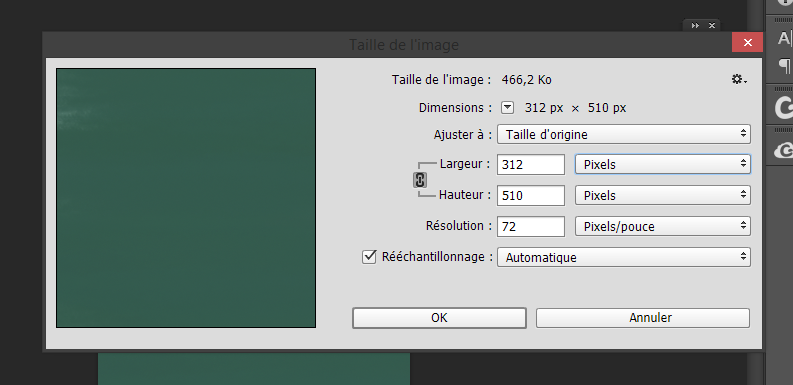 Capture-d%C3%A9cran-2017-01-28-19.17.46-