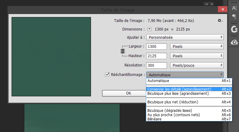Capture-d%C3%A9cran-2017-01-28-19.17.58.