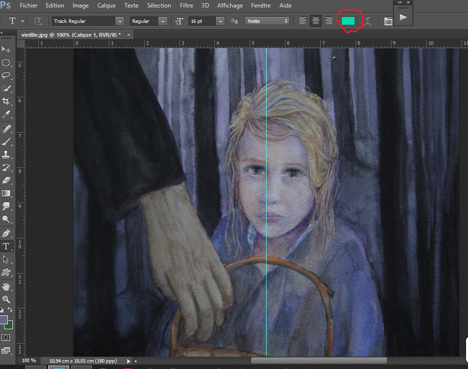 Capture-d%C3%A9cran-2017-01-30-15.22.37-