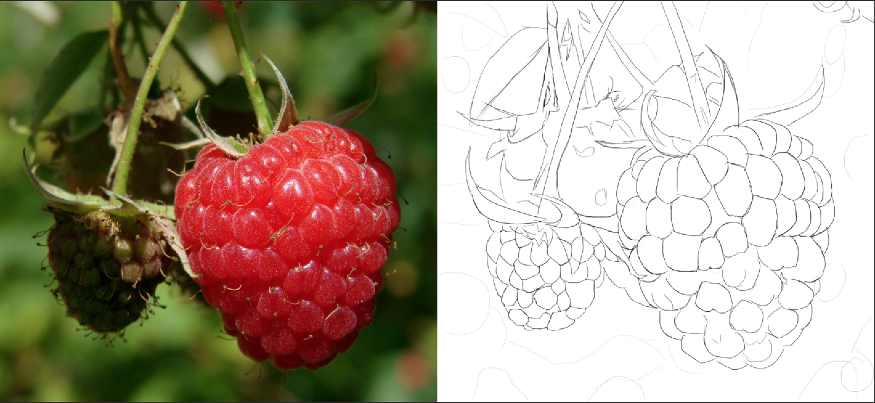 Capture-d%E2%80%99e%CC%81cran-2016-12-15