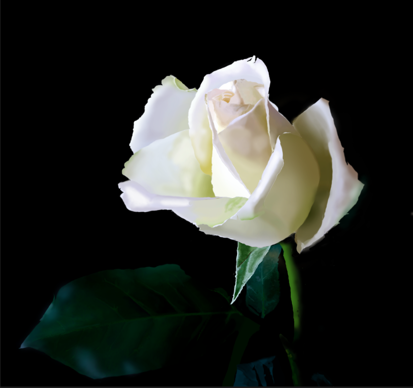 Capture-d%E2%80%99e%CC%81cran-2017-02-14