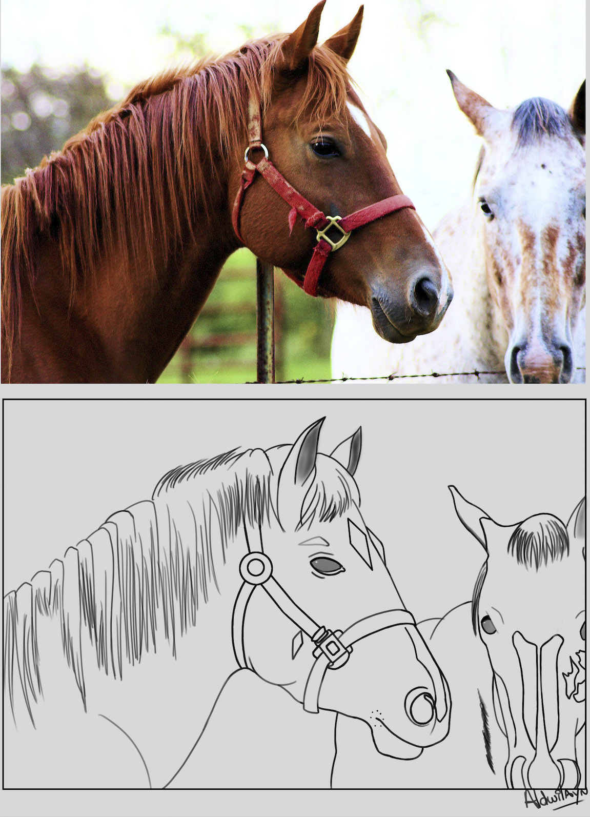 Capture-d%E2%80%99e%CC%81cran-2017-04-27