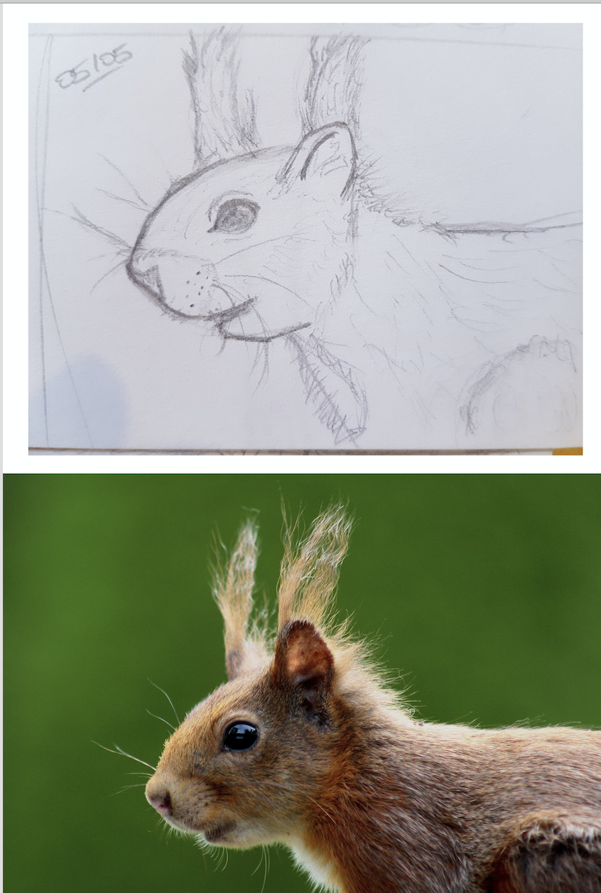 Capture-d%E2%80%99e%CC%81cran-2017-05-10