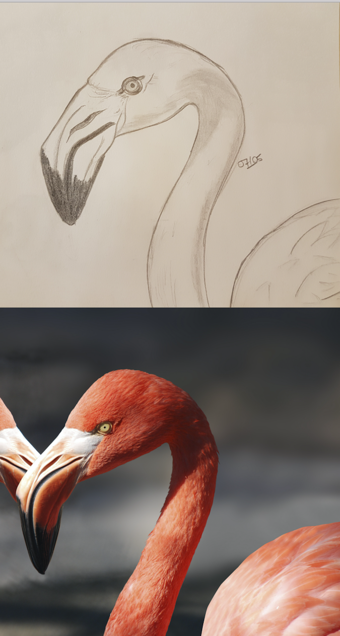 Capture-d%E2%80%99e%CC%81cran-2017-05-10