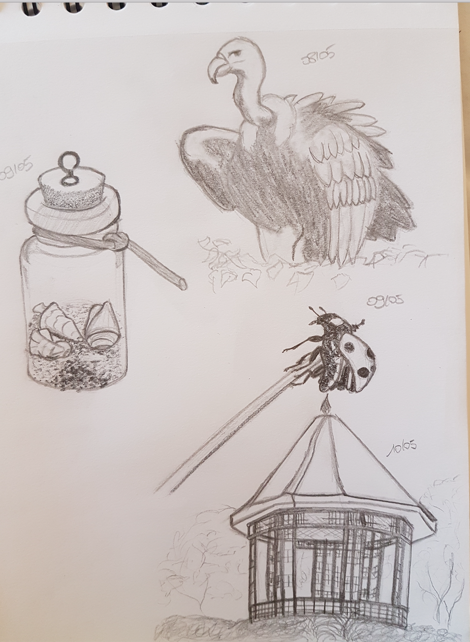 Capture-d%E2%80%99e%CC%81cran-2017-05-10