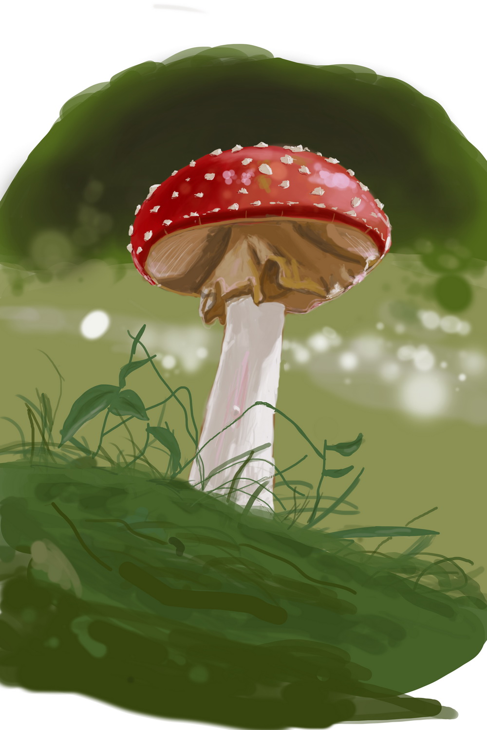 Champignon_redimensionner-1.jpg