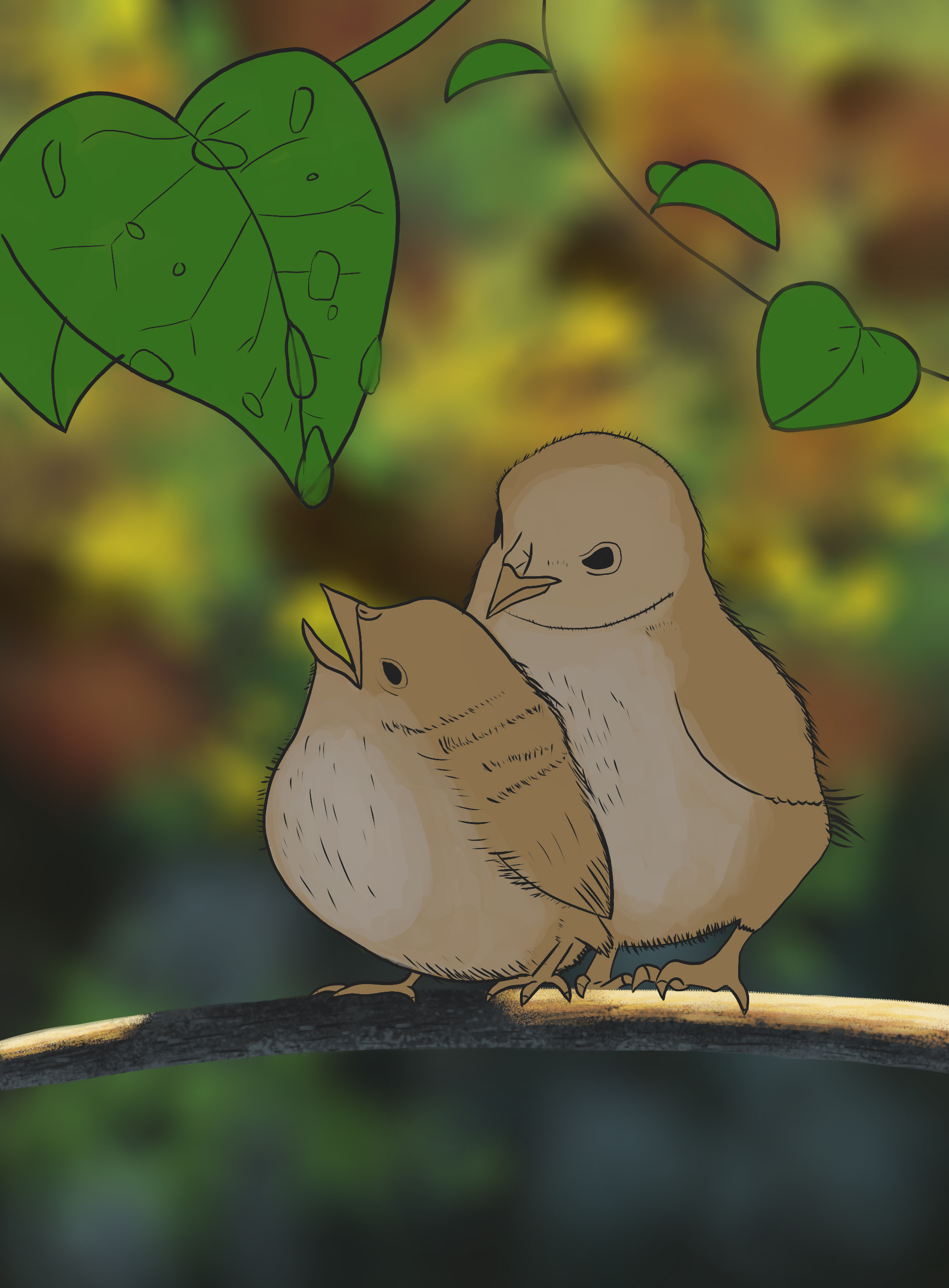 Chapitre1_Exercice5_Oisillons_Etape-croq