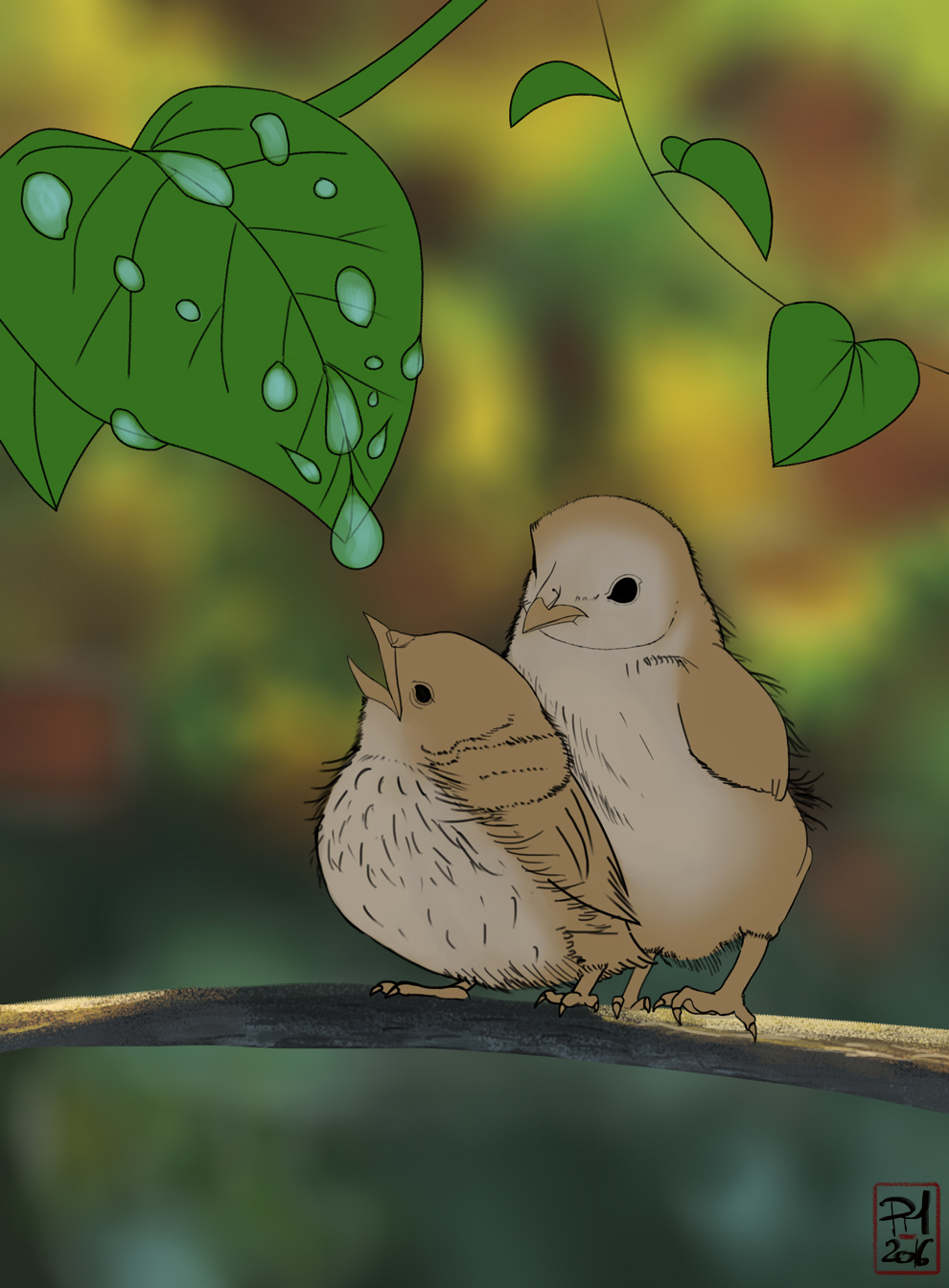 Chapitre_2_Oisillons_remplissage_couleur