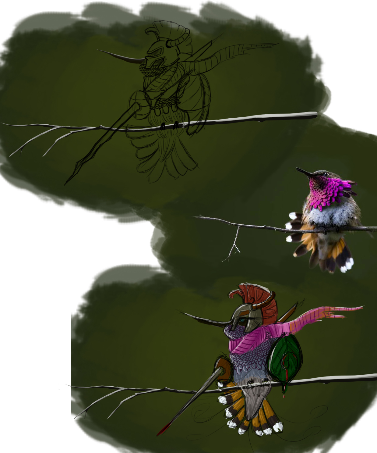 Colibri_wip_2.jpg