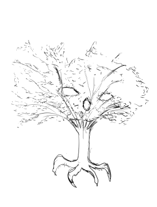 Concept-arbre3-1.jpg
