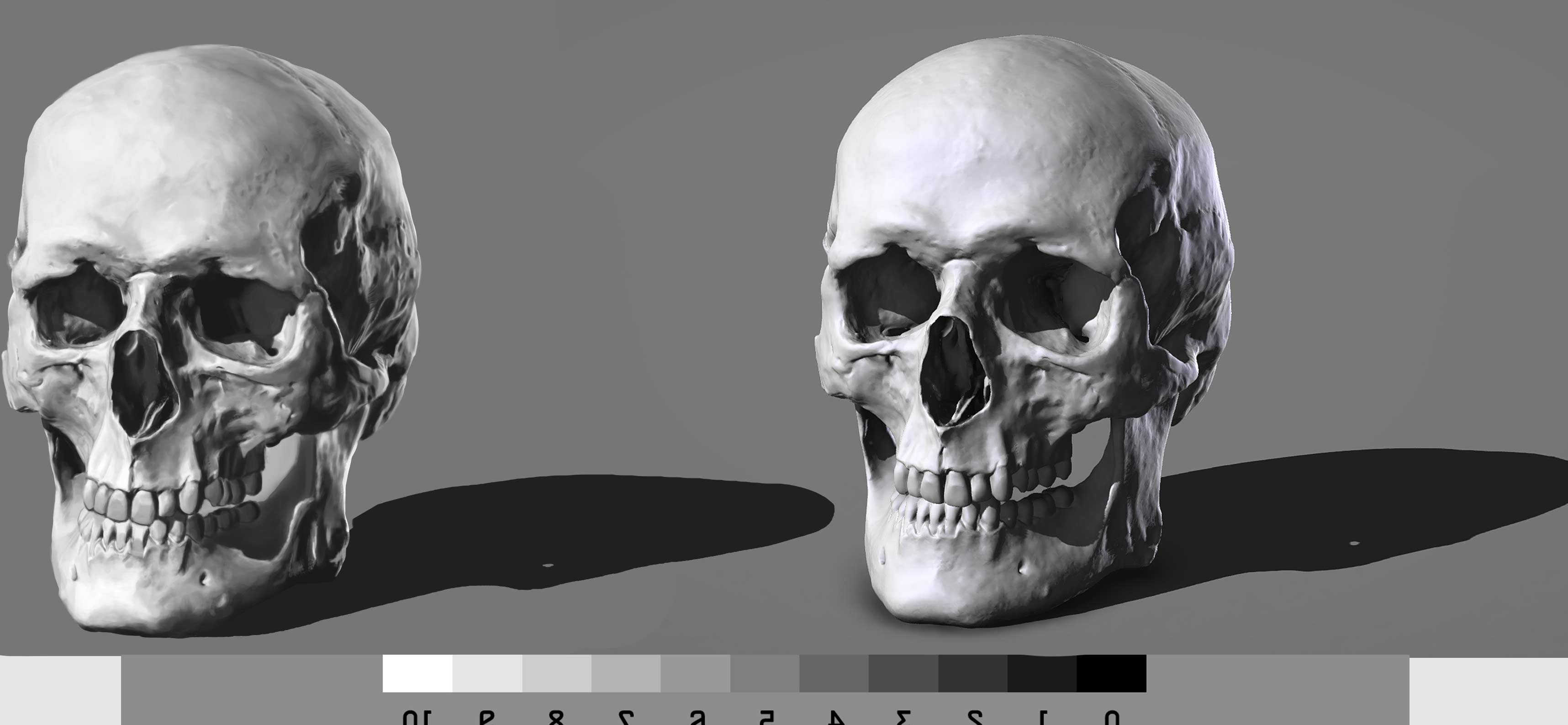 Cr%C3%A2ne-R%C3%A9cup%C3%A9r%C3%A9-R%C3%