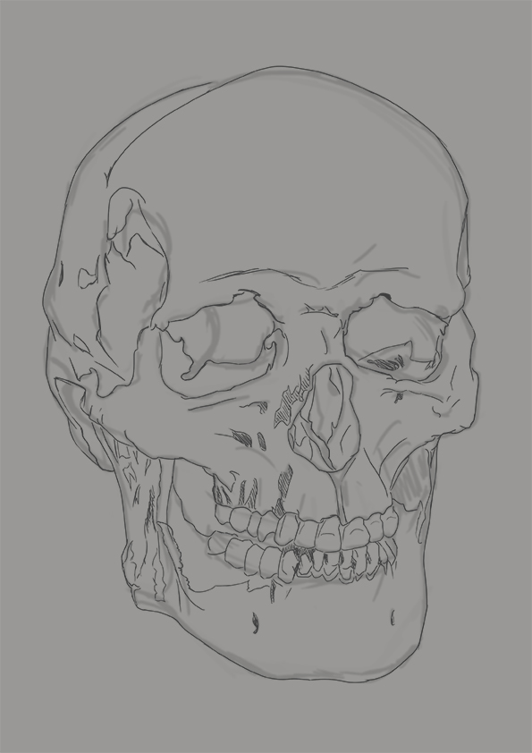 Croquis_Cra%CC%82ne.jpg