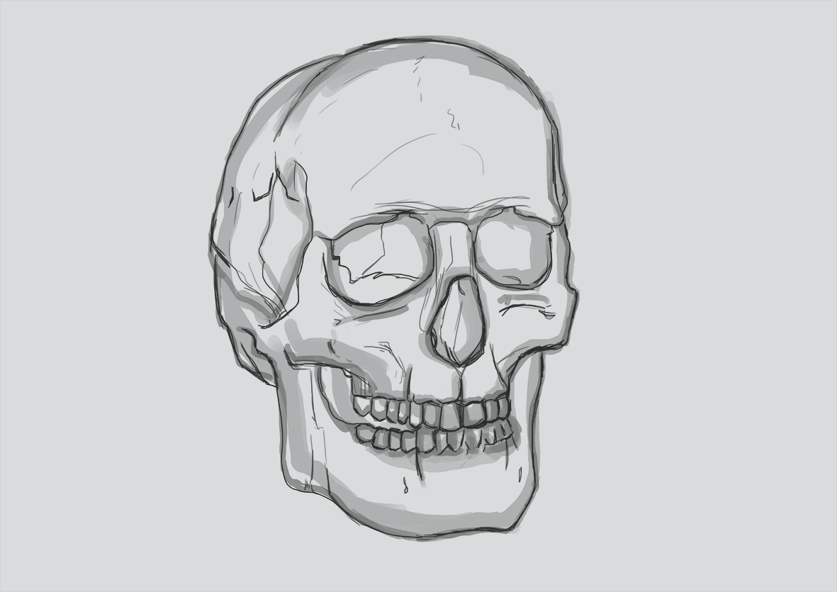 Croquis_cra%CC%82ne.jpg