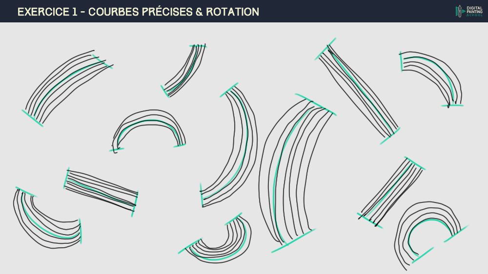 DPS-1-2-1-exercice_1-courbes-prcises-2.j