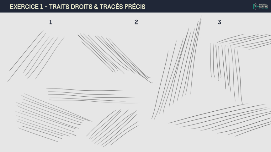 DPS-1-2-1-exercice_1-traits-droits-1-1.j