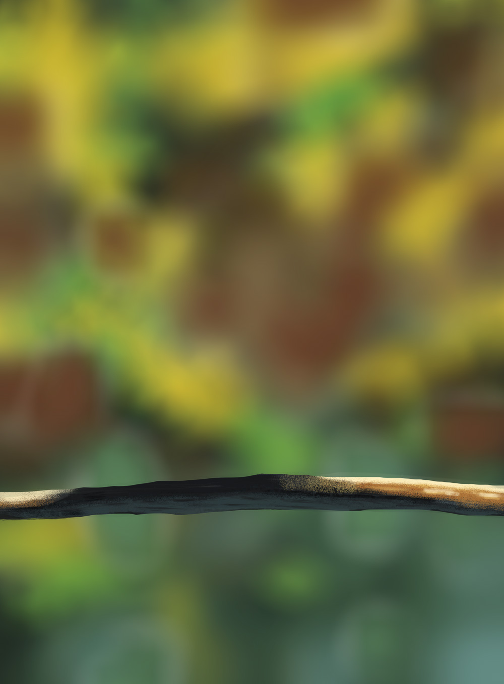 DPS-Prog-1-1-Exercice5-Oiseau-Branche-1.