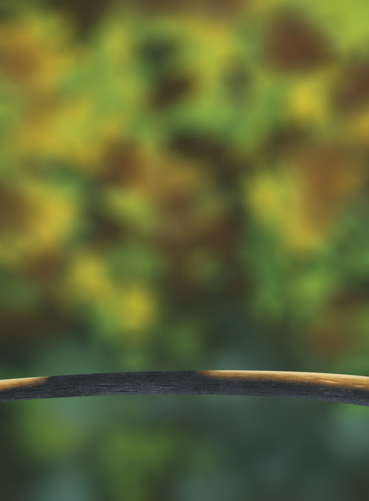 DPS-Prog-1-1-Exercice5-Oiseau-Commenceme