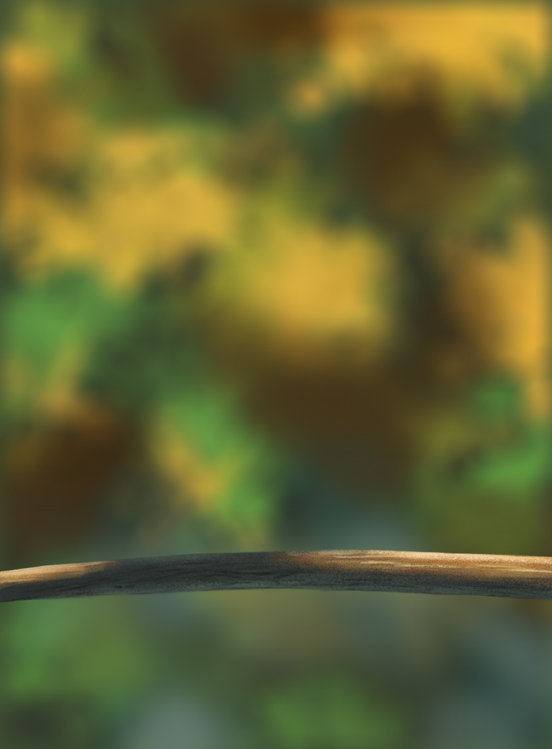 DPS-Prog-1-1-Exercice5-Oiseau-Commenceme