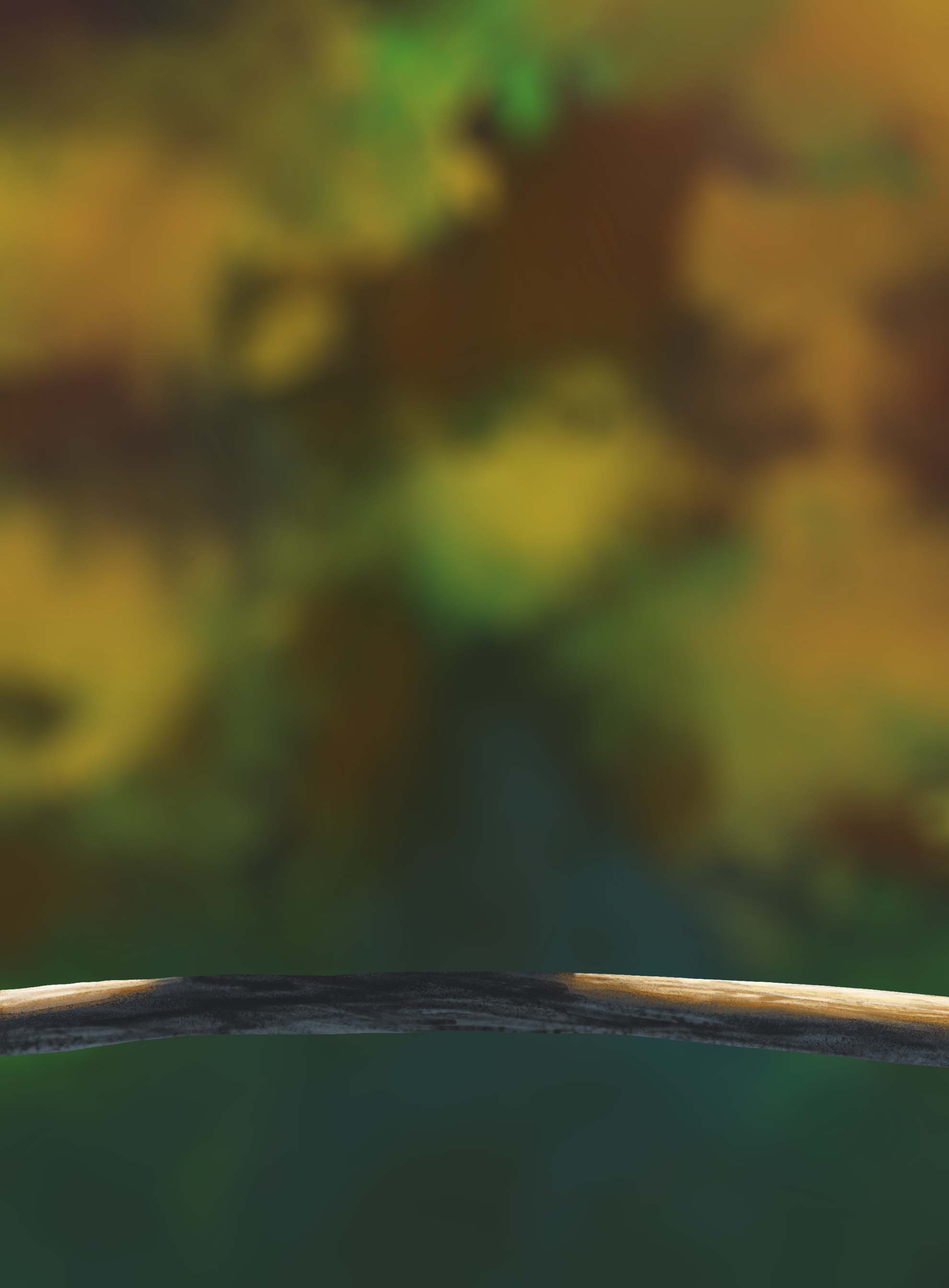 DPS-Prog-1-1-Exercice5-Oiseau-Commenceme