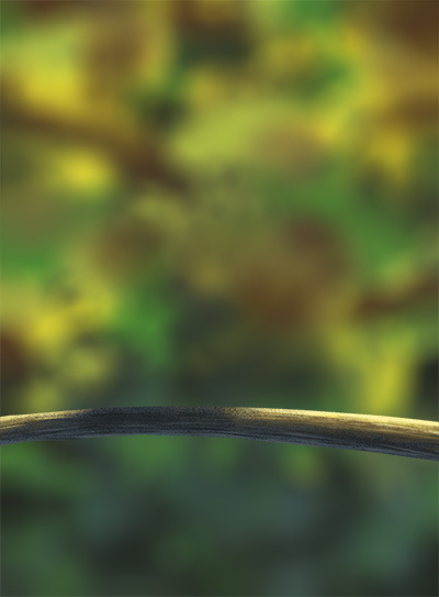 DPS-Prog-1-1-Exercice5-Oiseau-Commenceme