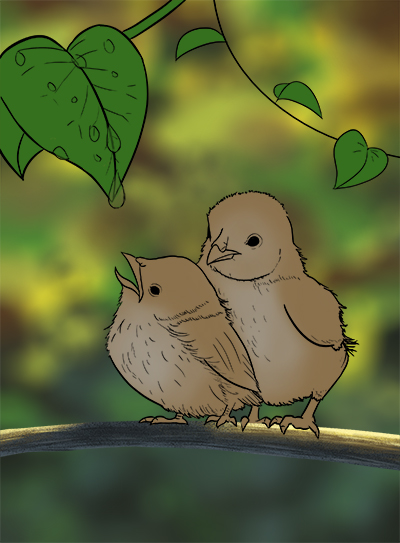 DPS-Prog-1-1-Exercice5-Oiseau-Commenceme