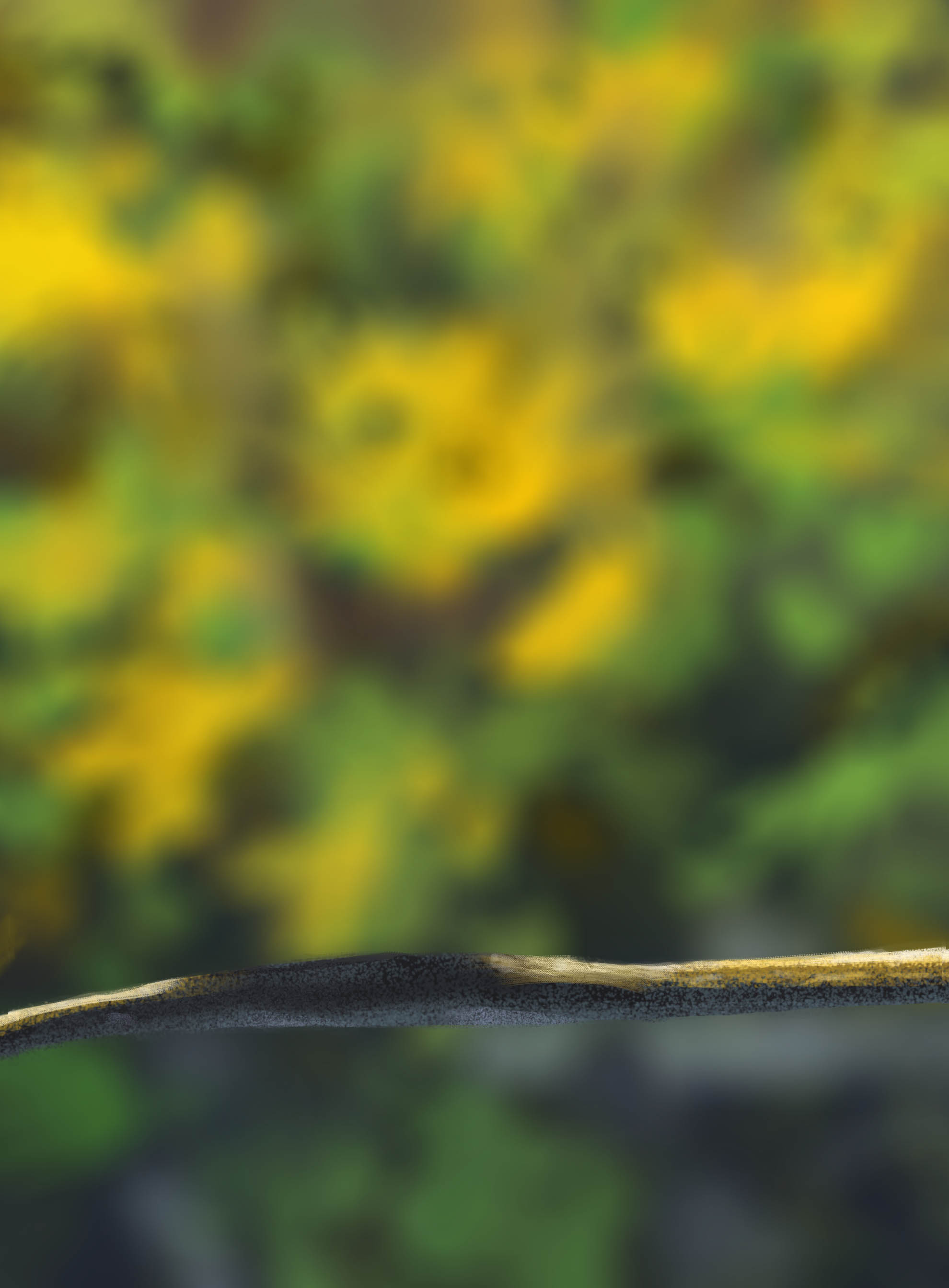 DPS-Prog-1-1-Exercice5-Oiseau-Commenceme